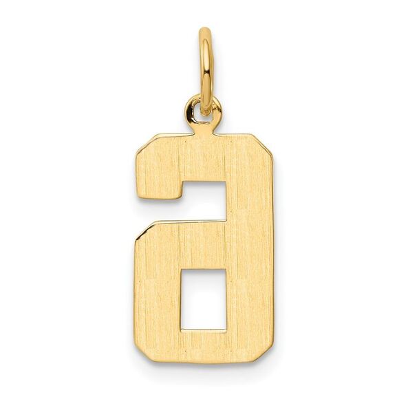 14k Yellow Gold, Athletic Collection Medium Polished Number 6 Pendant - Picture 3 of 5
